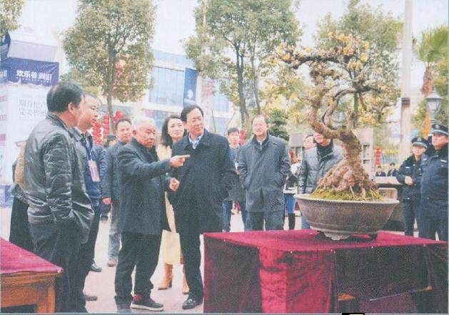 苟贤良先生个人盆景展在遵义市国际商贸城盛大开幕
