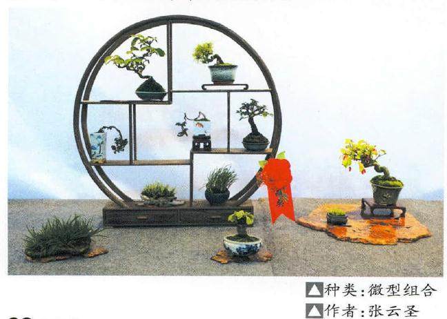 温岭日报社协办的第五届文化博览会拉开了帷幕