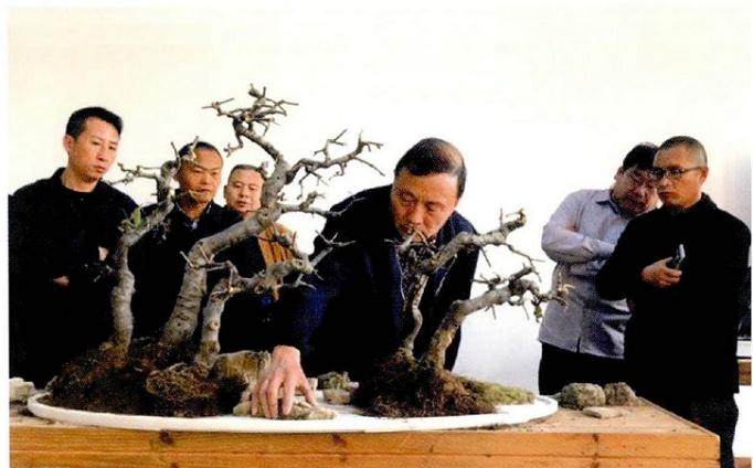 山东省第一期盆景艺术培训班在临沂雅鸣园开班