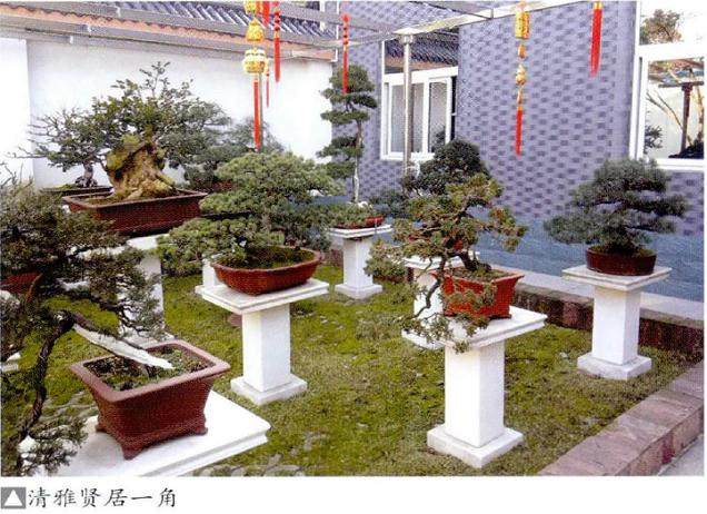 扬州江都‘’清雅贤居”盆景园是一处简洁的农家小院