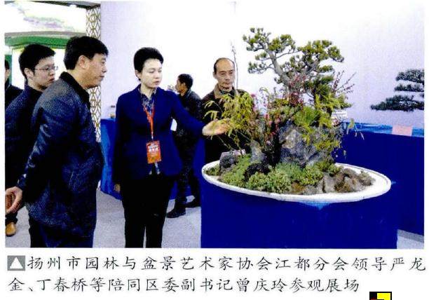 江都盆景亮相江苏国际农展中心
