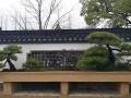 上海植物园盆景园改建完毕 很多园内的老景观都被调整