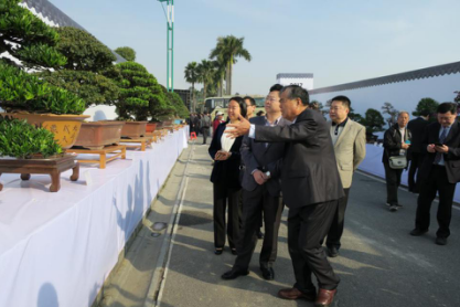 佛山陈村花卉世界隆重举办“第二届粤台南风盆景展”