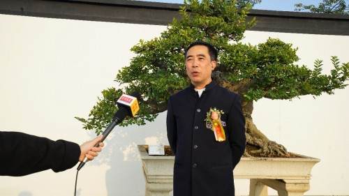 广东中山古镇迎来了首届奇石玉石盆景文化大型展览