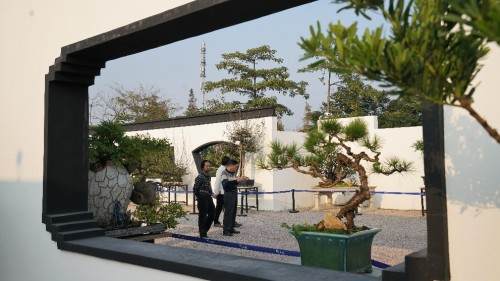 广东中山古镇迎来了首届奇石玉石盆景文化大型展览