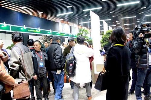 如皋盆景将在上海植物园举办为期一周的展览活动