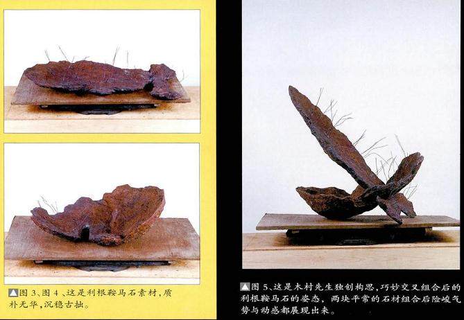 图解 利根鞍马石盆景的制作过程