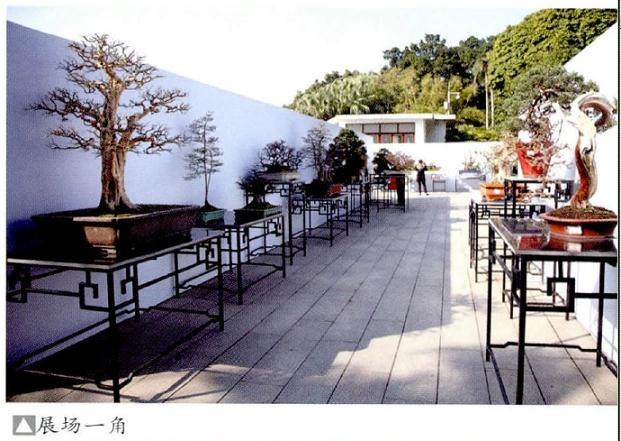 第23届广州盆景博览会由广州盆景协会承办