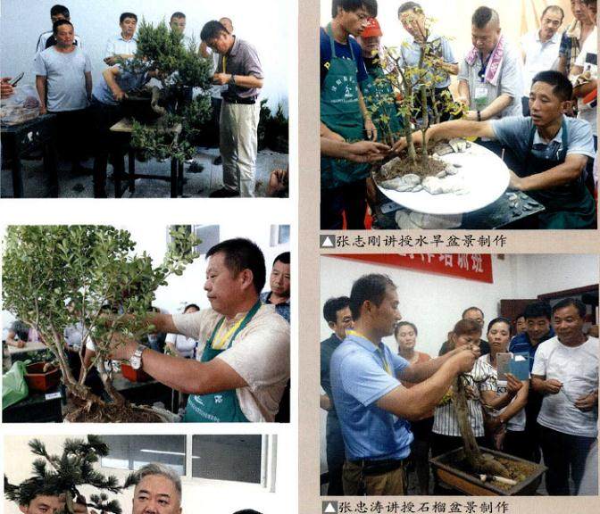 沐阳县盆景协会承办的第三期中国盆景制作培训班