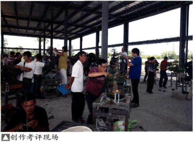 广东盆景协会评审第二批广东省岭南盆景艺术大师