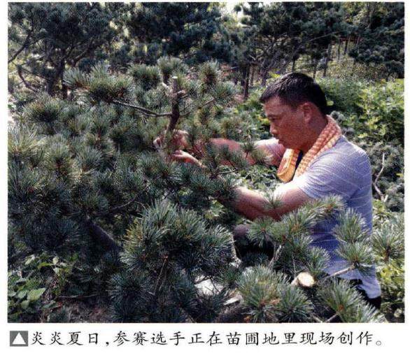 “扬州盆景作家”评选大赛在扬州市江都区曹王林园场举行