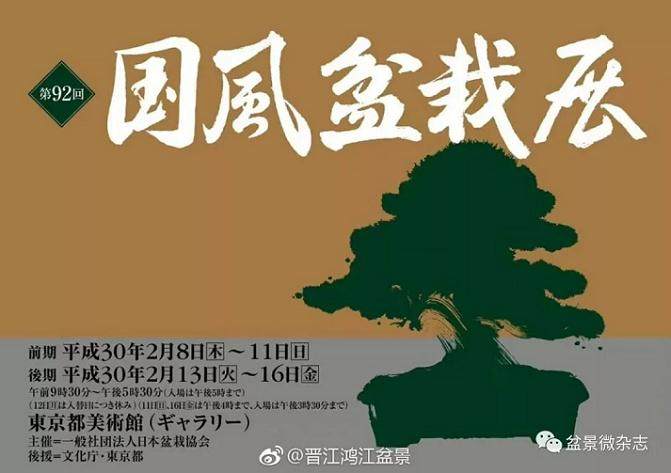 国际盆景情报谍照&mdash;&mdash;第92回日本国风盆景展