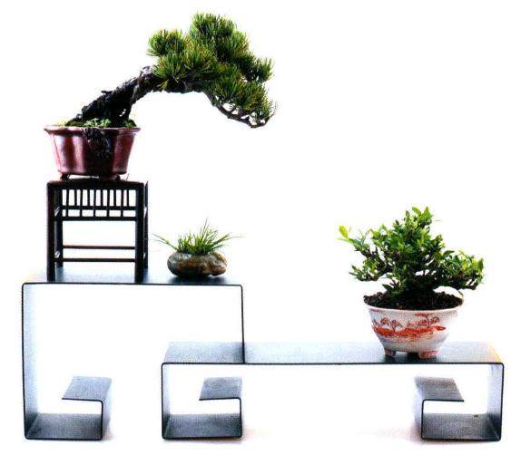 无锡小微盆景展在无锡印象茶画空间正式开展