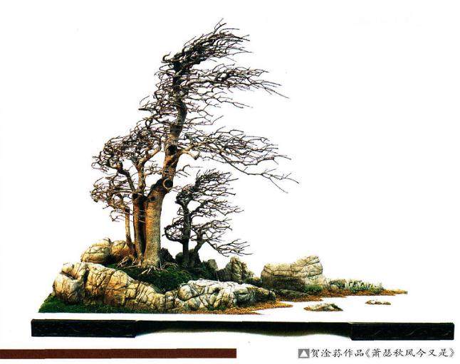 对盆景的鉴赏批评,“气韵生动”为最核心标准