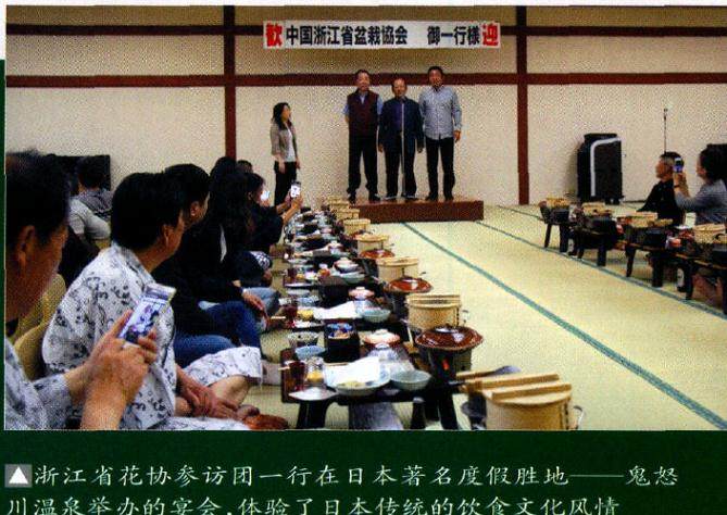 2017年 第八届世界盆景大会在日本琦玉县盛大举行