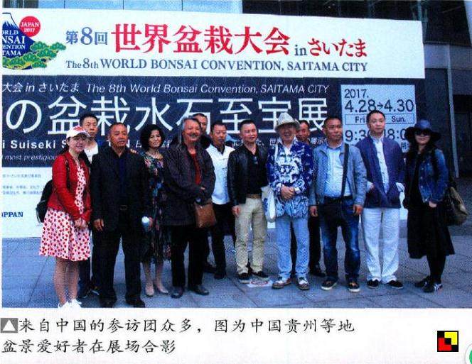 2017年 第八届世界盆景大会在日本琦玉县盛大举行