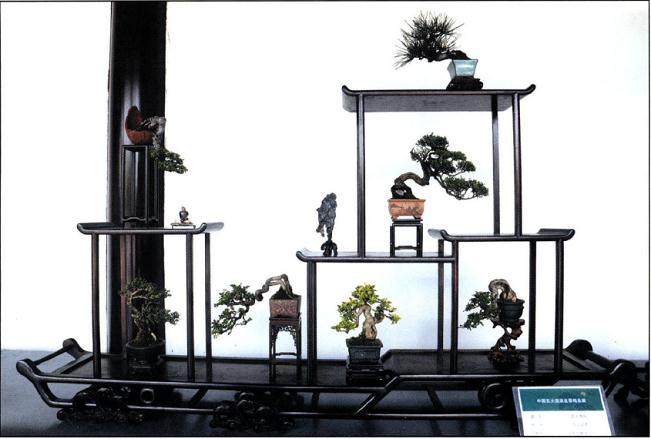 苏州承办的“中国五大流派盆景艺术作品邀请展