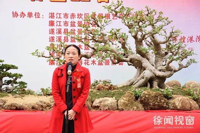 湛江市180件盆景艺术精品现身徐闻人民公园