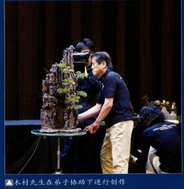 日本琦玉市举办第8届世界盆景大会 展场观众45000人