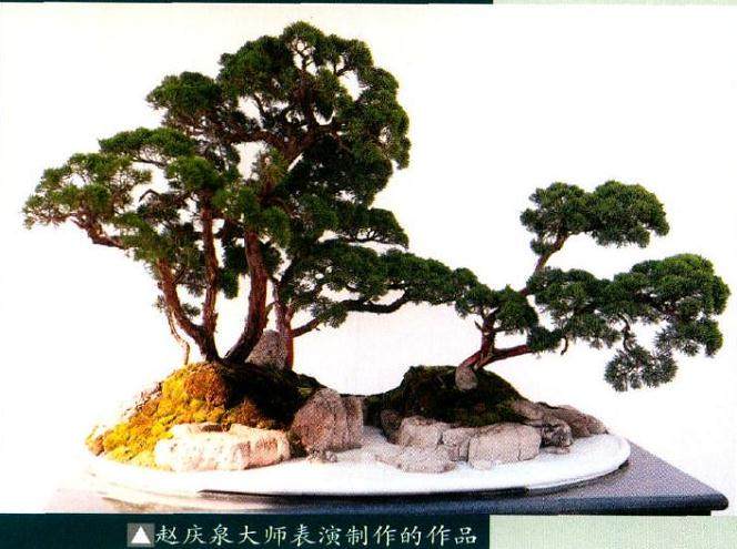 2017年5月27日 山东盆景协会联盟正式宣告成立