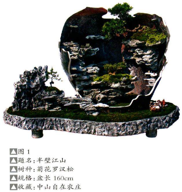 怎么以石为主体的树石盆景构图