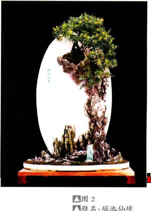 以石为主体的树石盆景构图