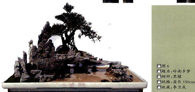 怎么以石为主体的树石盆景构图