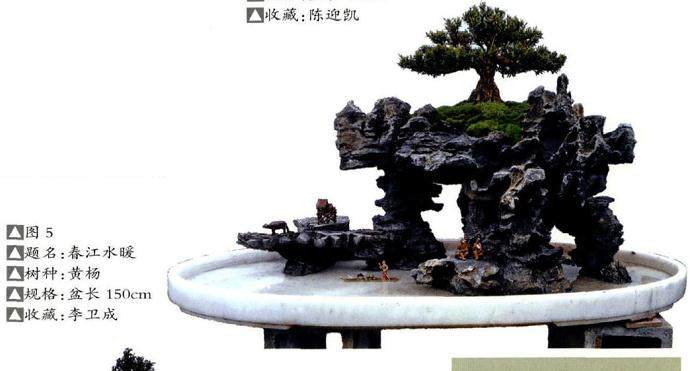 怎么以石为主体的树石盆景构图