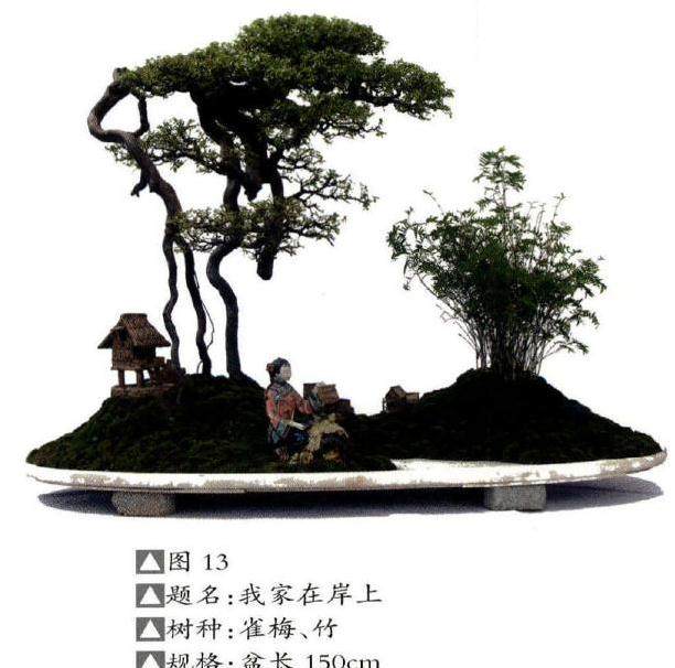 以情动人的水旱盆景构图造型 图片