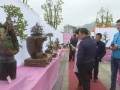 第四届盆景艺术展在福安市圆满落下帷幕