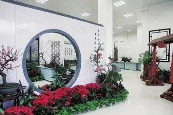 郑州2018蜡梅梅花盆景展里寻年味儿