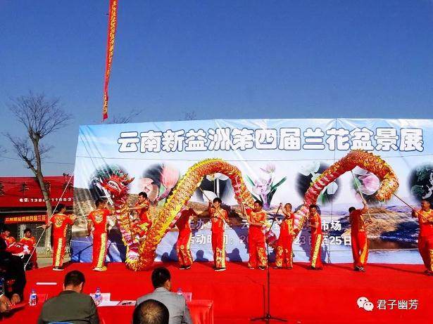 隆重的第四届兰花盆景展在云南昆明新益洲盛大开幕