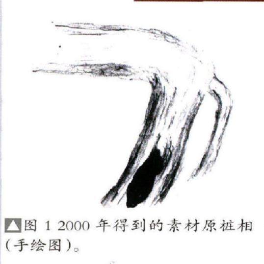 图解 榆树盆景作品《请》的制作方法