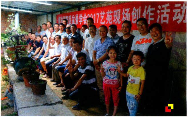 十堰市郧阳区盆景学会举行现场创作活动