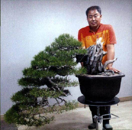 韩国知名盆景艺术家--李广钟