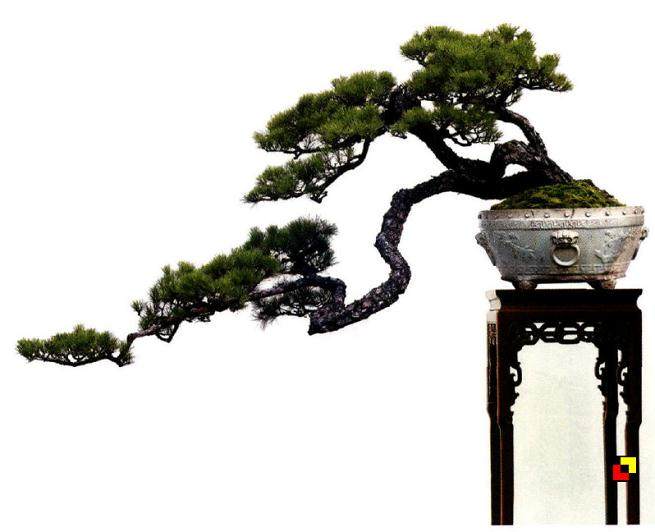 纵观韩学年先生二十四件山松盆景 品读而有悟