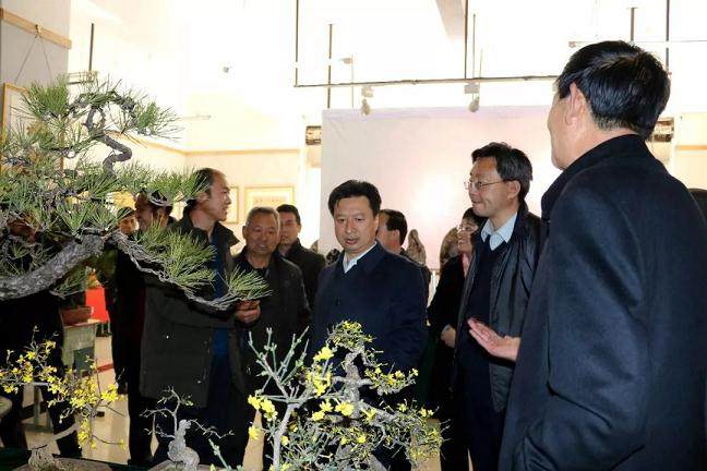 王强一行参观&ldquo;迎新春&rdquo;奇石盆景展