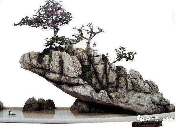 附石盆景的栽培与制作注意事项有哪些？