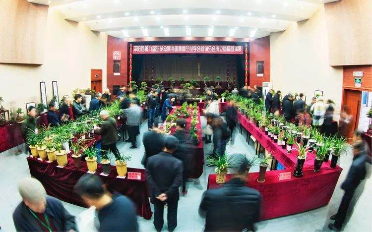 平阳即将有一场兰花书画盆景菖蒲展!