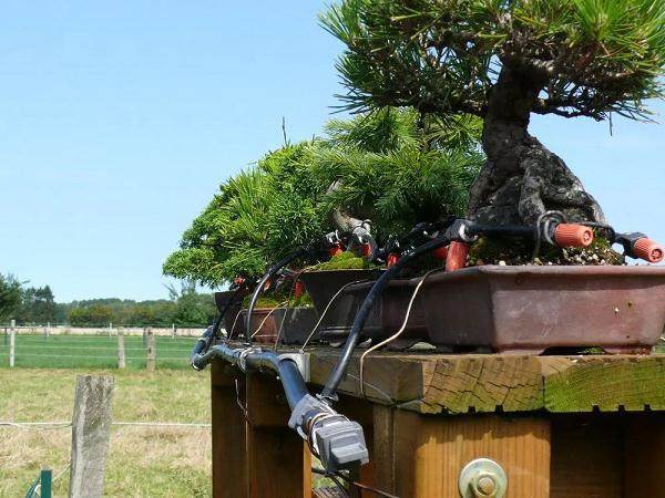 图解 看我的盆景浇水系统 700元搞定