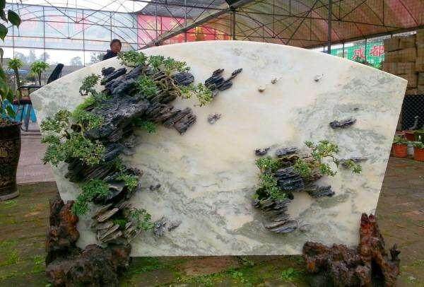 请问如何制作壁挂盆景,其养护又如何?