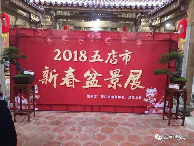 晋江盆景协会举办公展 有10万人参观