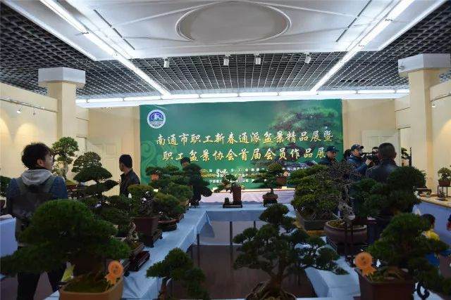 南通职工盆景协会首届会员作品展市文化宫开幕