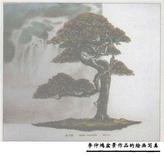 李仲鸿是当今台湾盆景界的顶级人物