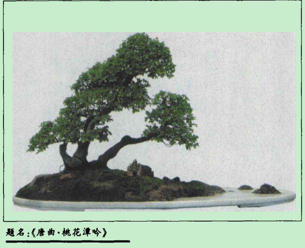 品味《艚曲·桃花潭吟》树石盆景的意境