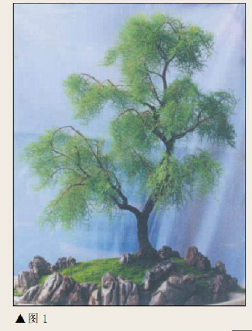 谈谈我制作柽柳盆景的体会