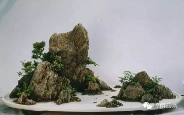 浅谈金陵山水盆景艺术风格