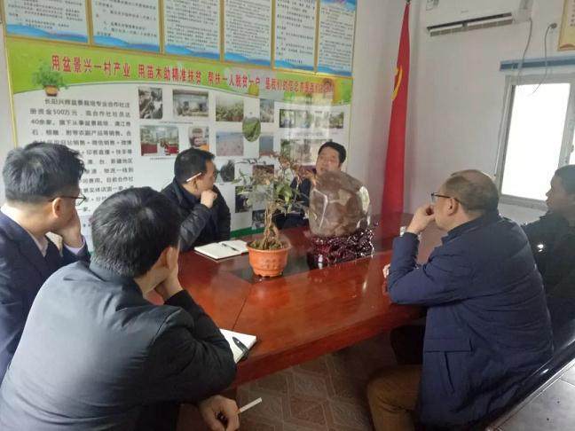 宜昌市电信专家调研兴辉盆景专业合作社