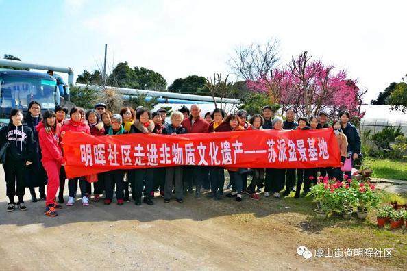 明晖社区走进非物质文化遗产——苏派盆景基地