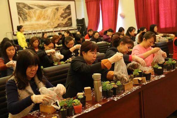 新东源股份社开展庆“三八” 绿色盆景种植培训